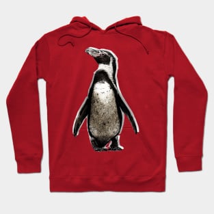 Pick Up A Penguin Hoodie
